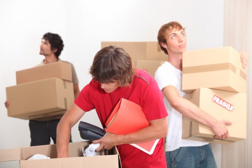 Professional movers handling household items during relocation